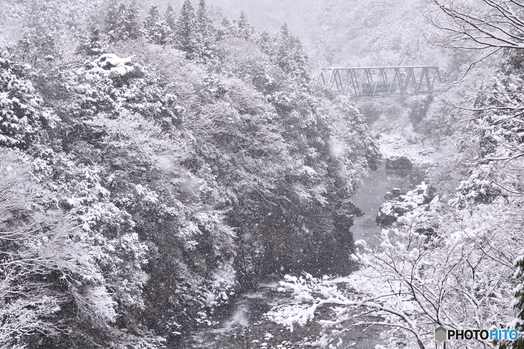 冬の根尾川を行く
