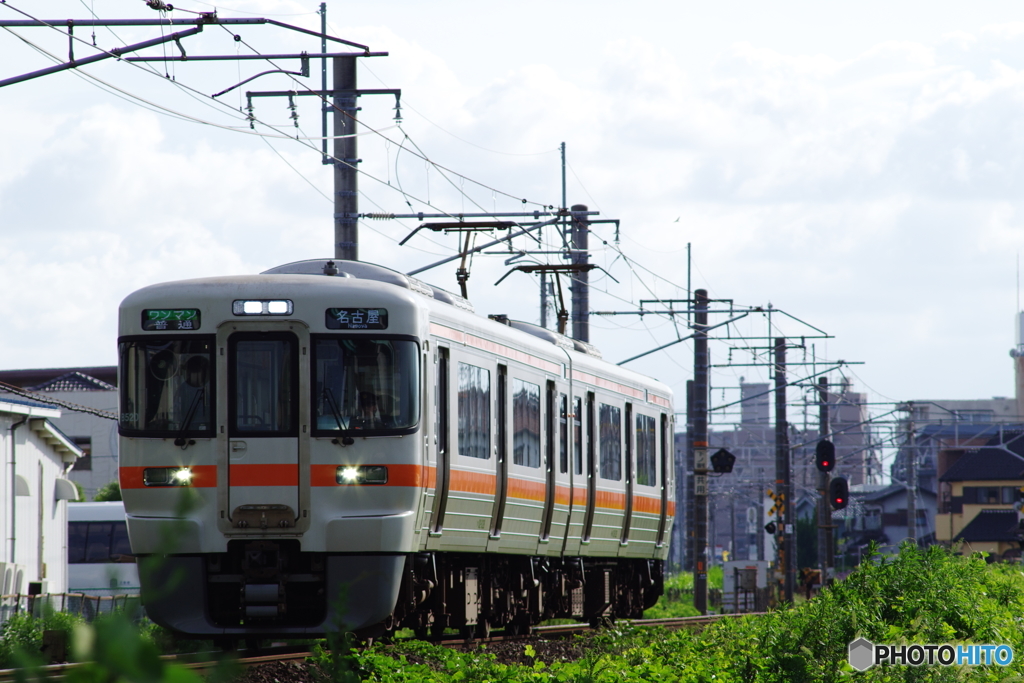 半逆光試し撮り