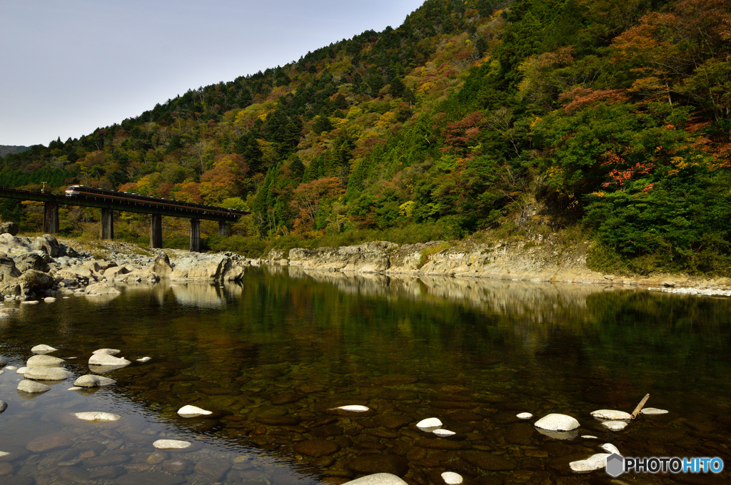 高山線の紅葉1