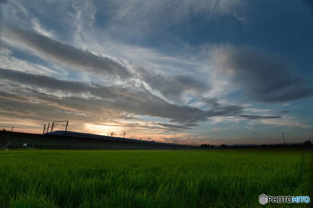 緑映える夕景