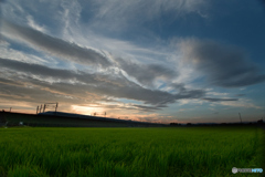 緑映える夕景