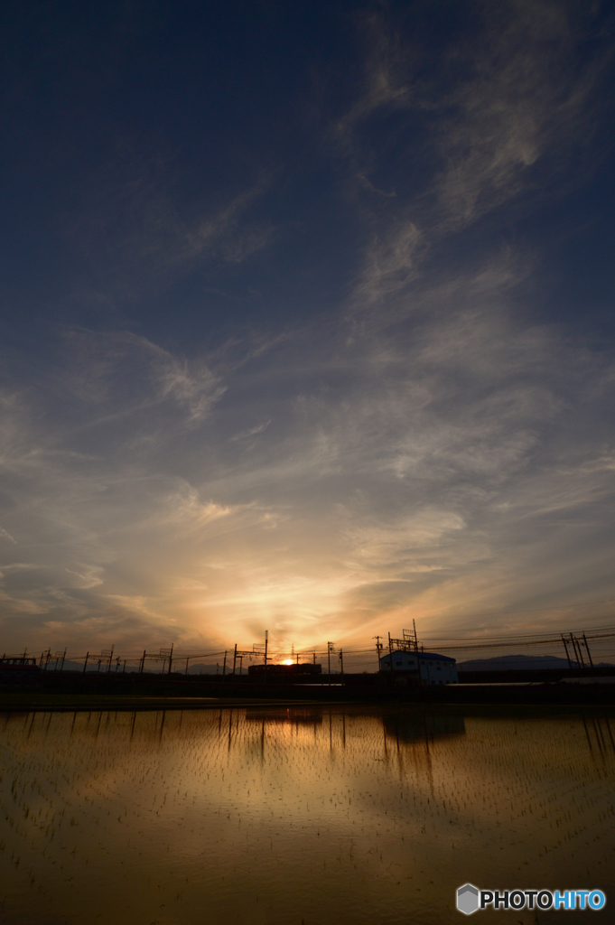 水田の夕景