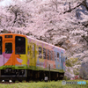 車窓に写る桜
