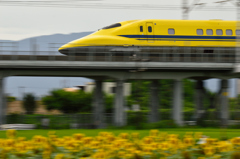 今年最後のコラボ流し