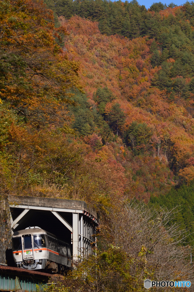 彩る高山線