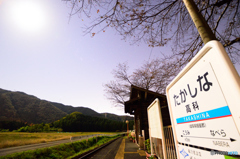 月明かり