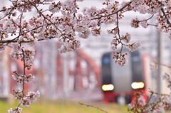 桜と名鉄