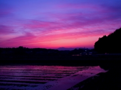 映る夕日