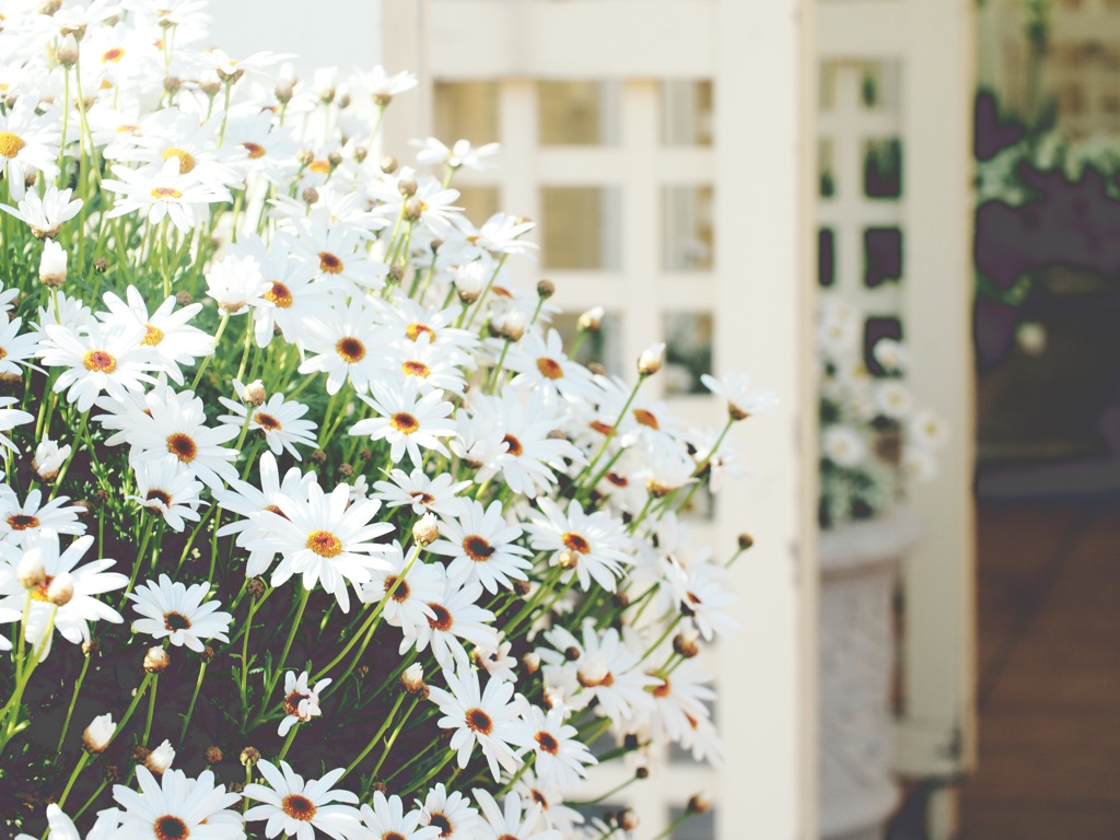 spring♪2015