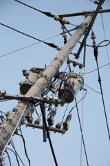 電柱