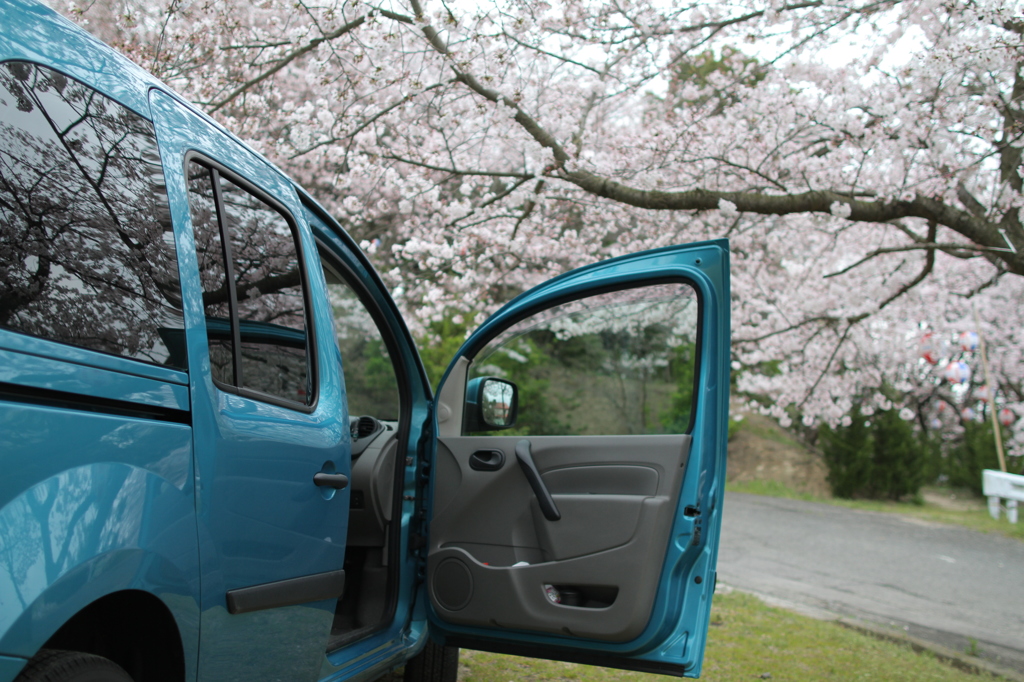 桜とカングー