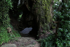 生樹の御門