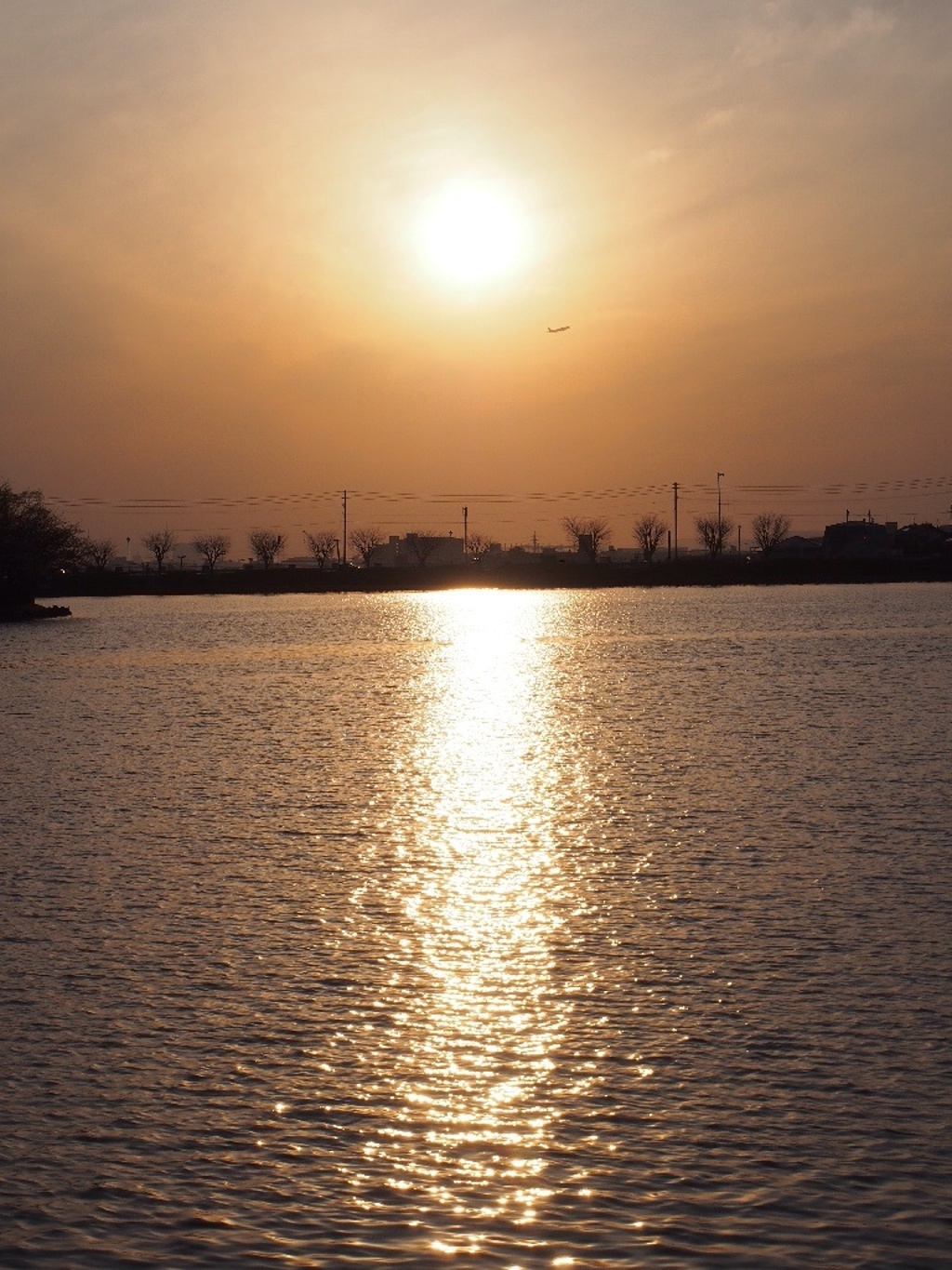 夕陽