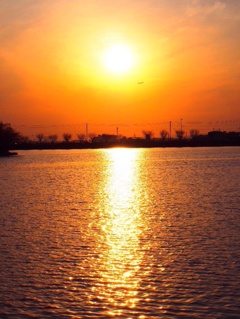 夕陽