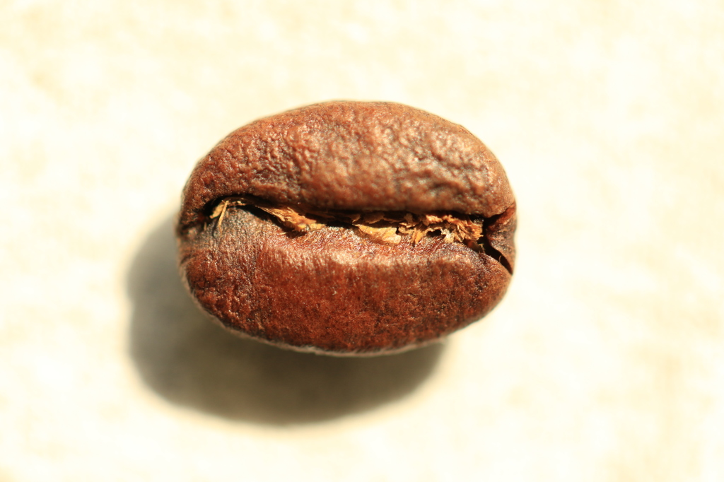 コーヒー豆