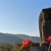 明日もまた平和な日が訪れますように