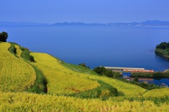 海と棚田と電車と