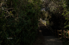 猿島 9