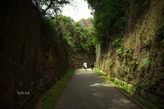 猿島 2