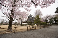 松本城