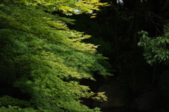 鶴見緑地2