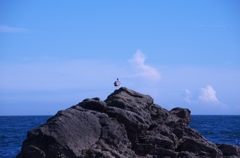 海･鳥