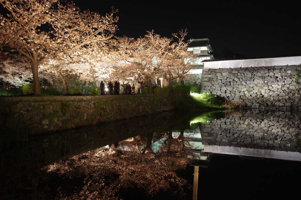 城と桜