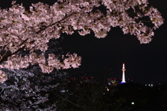 Kyoto Tower - spring
