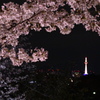 Kyoto Tower - spring