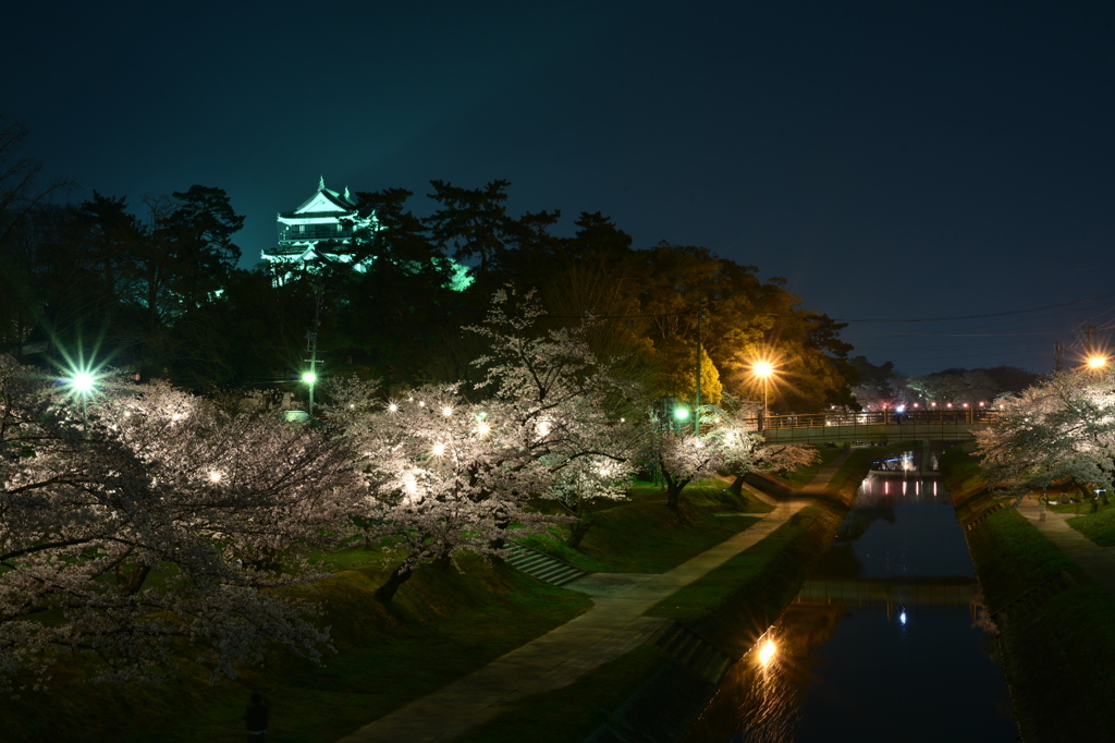 岡崎城 春景色