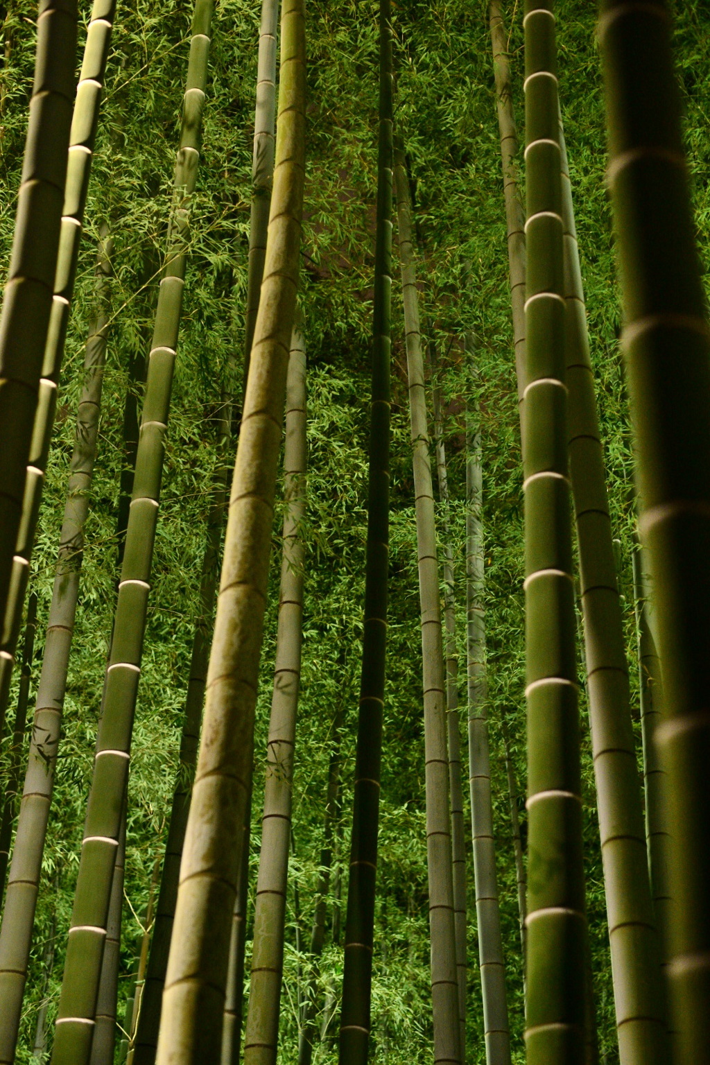 green up