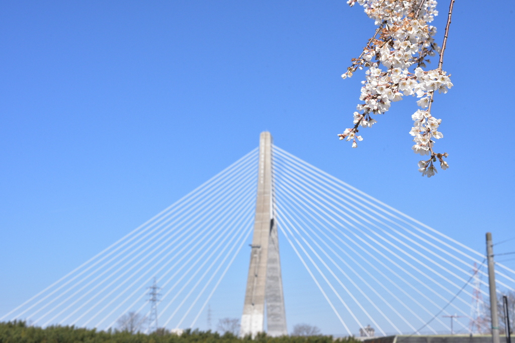 Toyota Arrows Bridge - Spring