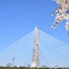 Toyota Arrows Bridge - Spring