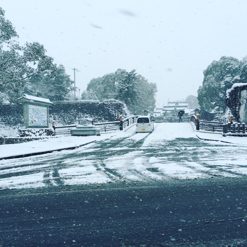 八代宮 大雪