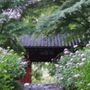 瑞雲山 本光寺