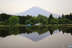 田植え前^ ^