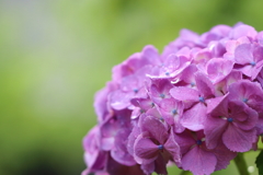 雨あがり