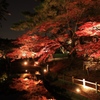 紅葉ライトアップ