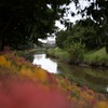カラフルな川辺