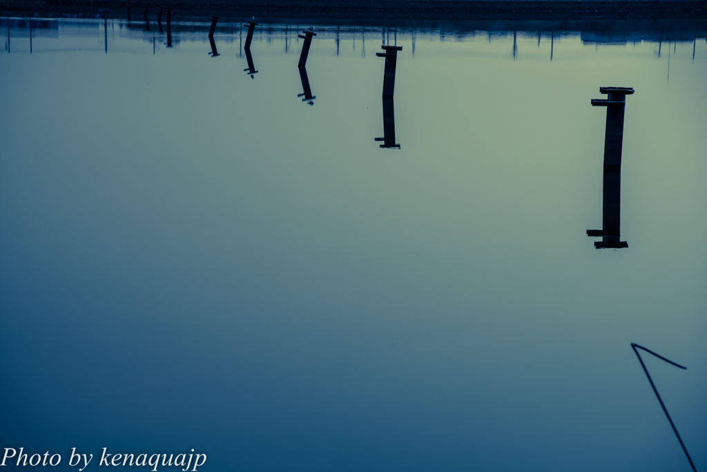 風の無い朝の水鏡