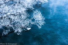 水上のハート