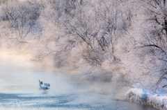 極寒の朝の家族