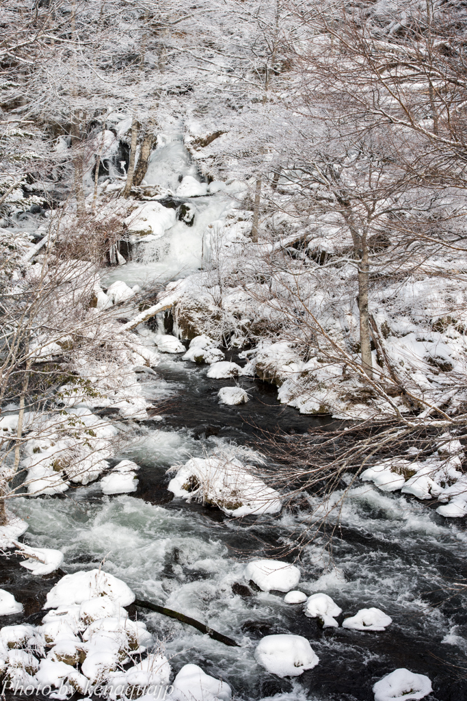 滝を飾る霧氷