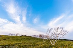 風の峠の朝に