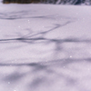 雪蛍