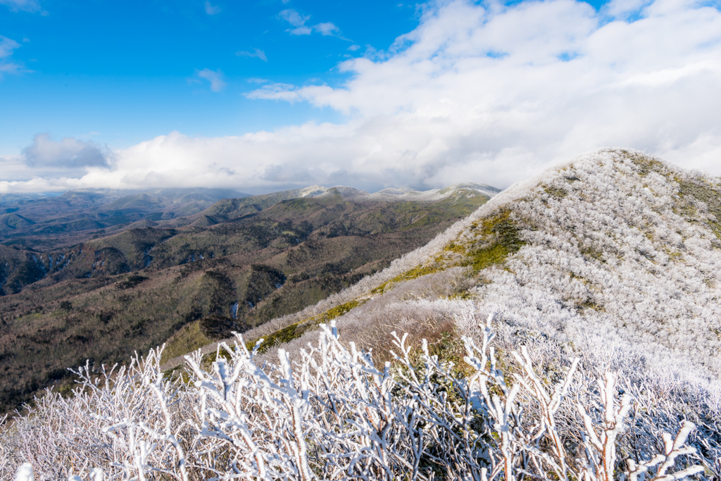 White ridge line