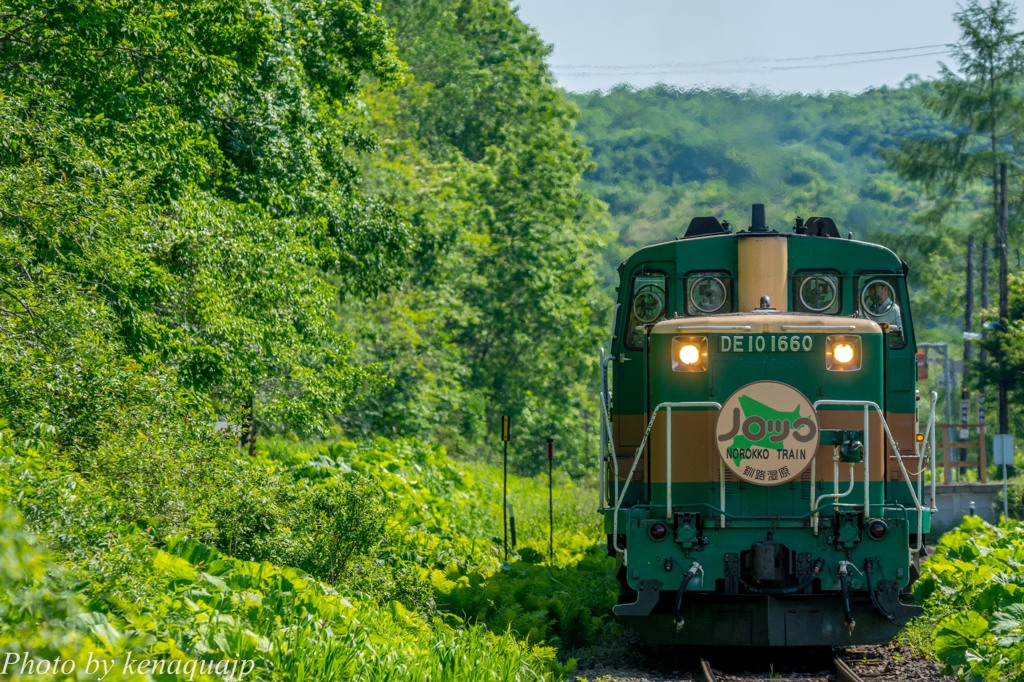 緑の風を感じながら