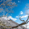 白き山、再び