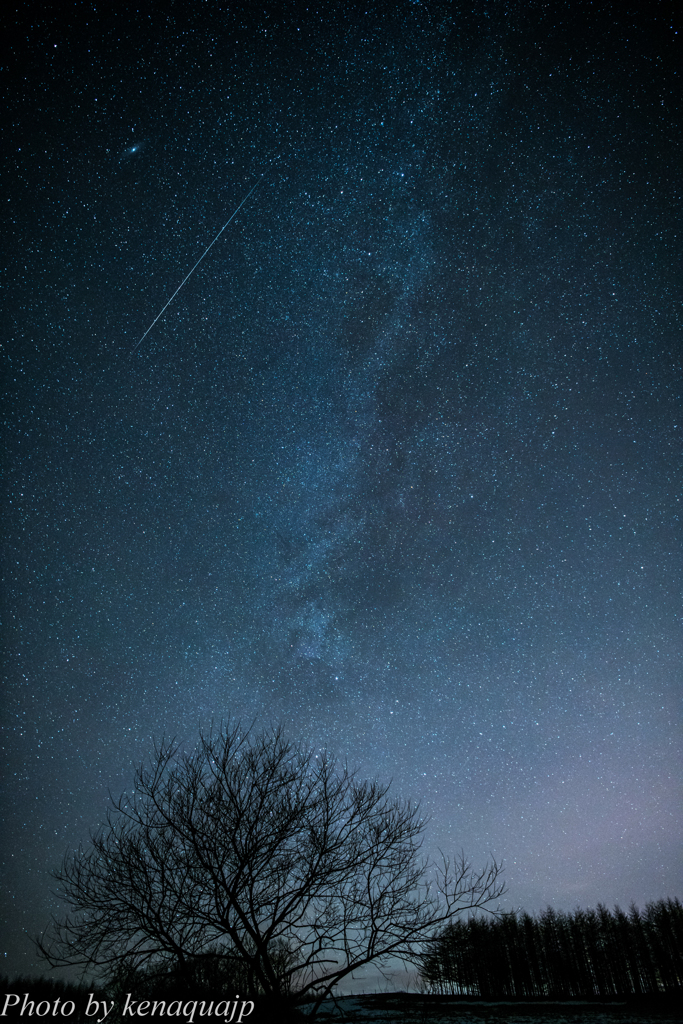 流れ星を探して