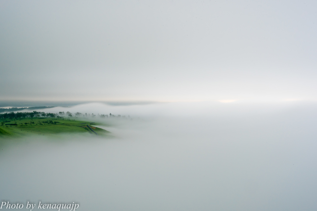 霧の海の朝に